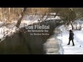 Video ansehen