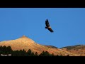 Tierras de Soria - Tiermes