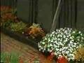 How to Garden -  Formal English Garden