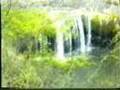 Queensland Australia Part 1 of 2 Mal Hyams