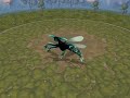 Spore Creature Creator Video - Lepidoptera Spore Creature Creator Video - Lepidoptera