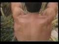 BodyBlade(2/3)