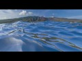 TweakWaves Demo: still alive 'n' kicking