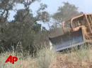 Schwarzenegger: Shocked by Number of Fires