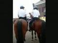 Fragment van mobilofoonverkeer Politie Fryslân