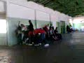 CM.sapo, perereca e rã... CM.sapo, perereca e rã...