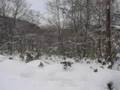 YUBARI 夕張を訪ねる
