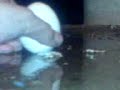 Hammer Smashed Egg 2,5 remix The Return Of The Hammer/Mallet Hammer Smashed Egg 2,5 remix The Return Of The Hammer/Mallet