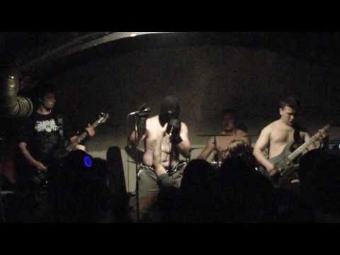 Youtube Video wlKPm_sv8Ng