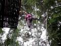 Lowering of the Gibbon, Joanna Jan 2009
