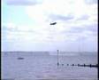 harrier