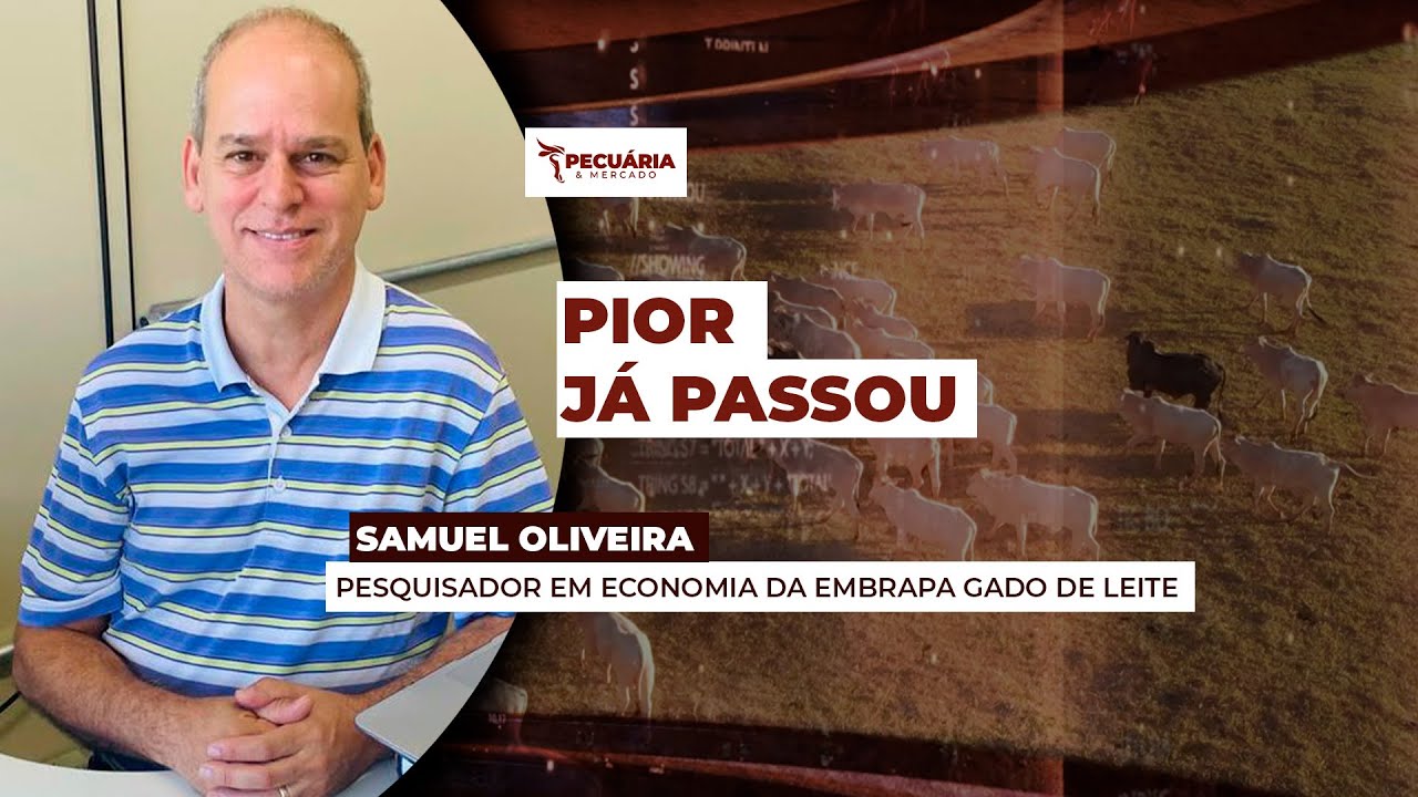 Preços do leite  ao produtor param de cair com ajuste  entre oferta e demanda