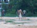 kids playing football ,cambodia