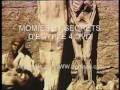 MOMIES ET SECRETS D'EGYPTE Default