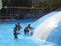 acquapark 13-08-2008 da mazara