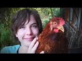 Sun In Her Eyes - Tom Helsen - Music Video