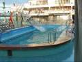 NCL Pride Of America Pool