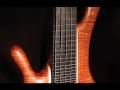 Bass Guitars from Jerzy Drozd Basses Company