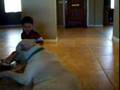 Bailey-Playtime-Toge