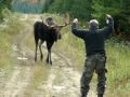 Nelson & Roger Show: Moose Attack OMG!!!