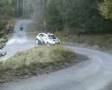 SlalomCar-Rally-Pers
