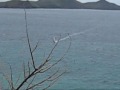 Windsurfing Bequia