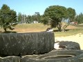 The Last Ninja Pt.1