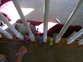 Funkey News - Jump Competition!