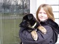 German shepherd pics with music