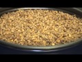 The Best 9 Marroni Cake Coopzeitung