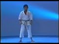 karate shotokan   heian sandan