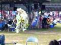 Fancy Dancers