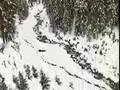 ZipTrek Ziplines at Whistler / Blackcomb
