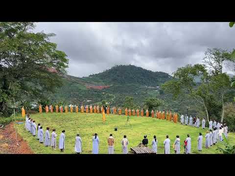 Tinh Hoa NIKAYA - Thiền Hành Trải Tâm Từ - Đời Người Như Chiếc Lá