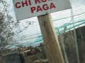 PaintBall