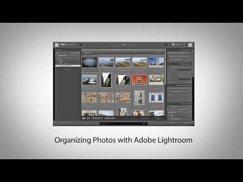 how to organize photos