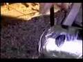 Little Alie Inn visit --alien autopsy