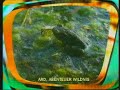 Crazy Animal-TV-Cuttings Crazy Animal-TV-Cuttings