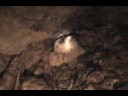 Caves of Abaliget Part 2 tour