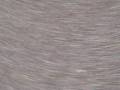 Jan 25 2007 VID00045
