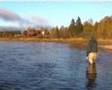 Fishmaster-Ljungan Fly Fishing 2