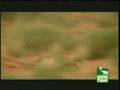 Leopard Kills Jackal