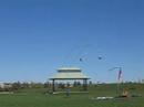 Multiple kites - 2 HQ Yukons at Woodbine Park