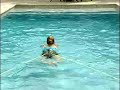 Aquavee Swim Training By Coach Robert Strauss