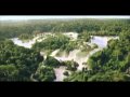 Tropical Rainforest Biome