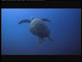 Globalnomad-nature-21st Century-Enviromentality Globalnomad-nature-21st Century-Enviromentality