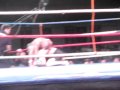 clip video El Matador El Matador