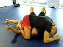 Georges Saint Pierre practice