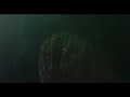 S.E.E.D. The Music Video