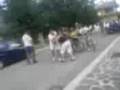 eventi soprannaturali a luco dei marsi